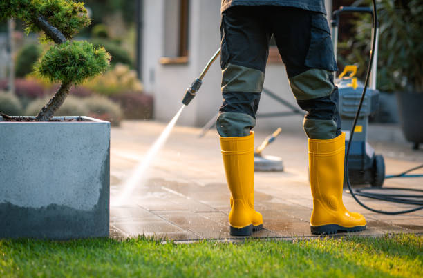 Best Eco-Friendly Pressure Washing in Mapleton, IA